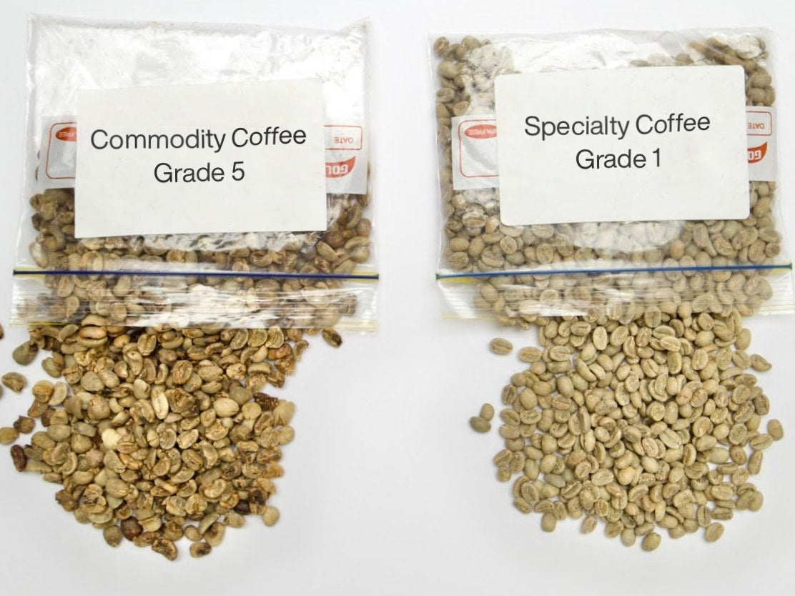 Specialty Coffee vs Commodity Coffee: What’s the Difference?