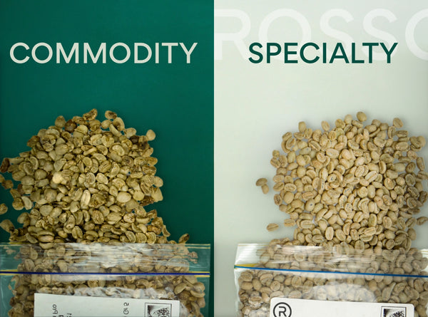 Why Choose Specialty Coffee Over Commodity Blends?