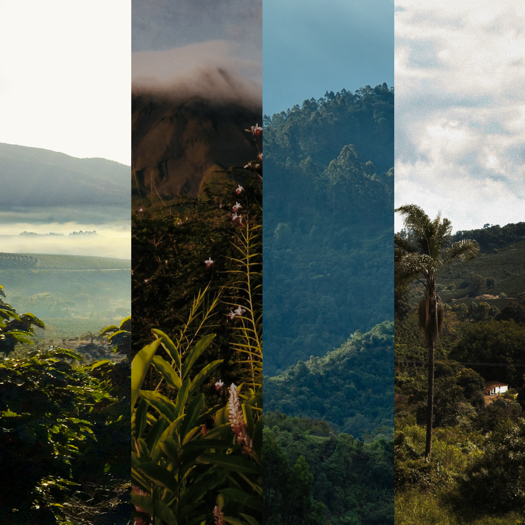Why You Should Be Buying Single Origin Coffee