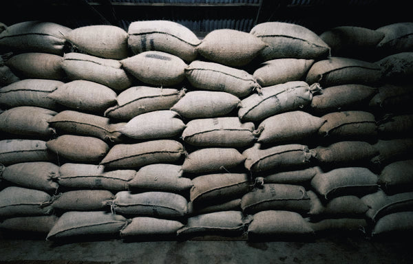 Our Best Tips On Storing Your Coffee Beans and Preserving Their Flavour
