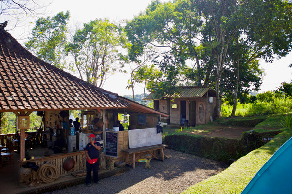 Behind the Scenes: Visiting a Coffee Farm