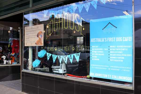 PRESS: In The Dog House At Melbourne’s First Canine Cafe