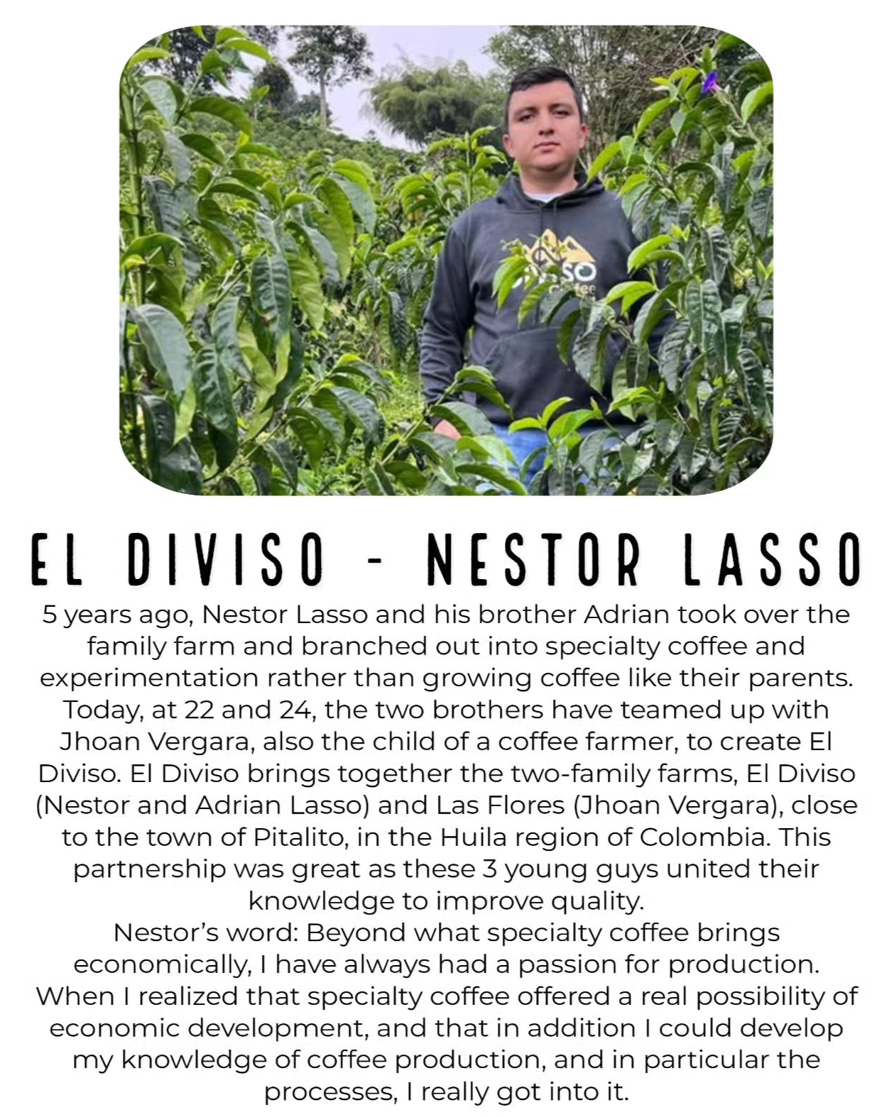 Single Origin: Nestor lasso NL71 Obligon Competition Lot