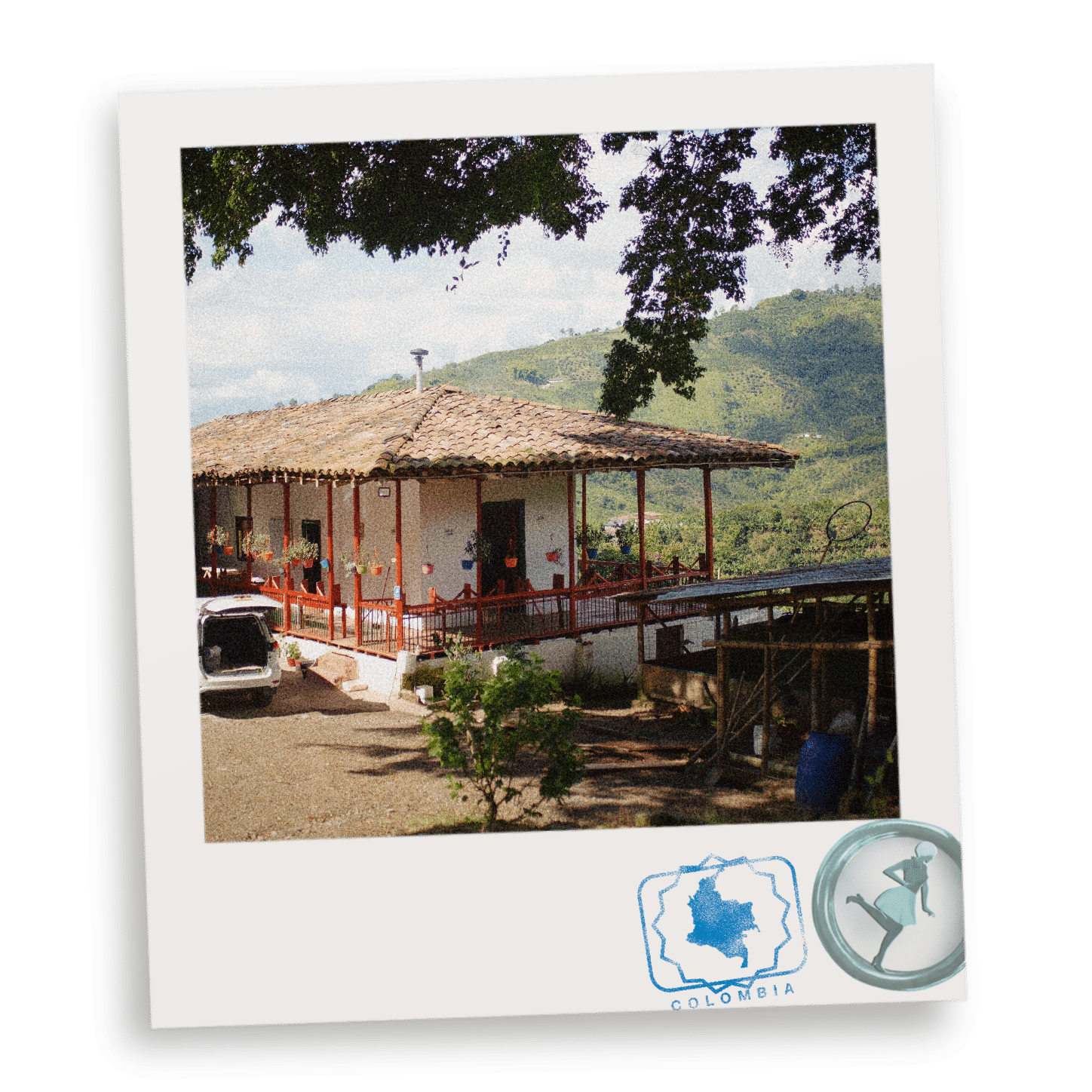 Colombia NL70 Finca El Diviso Competition Lot