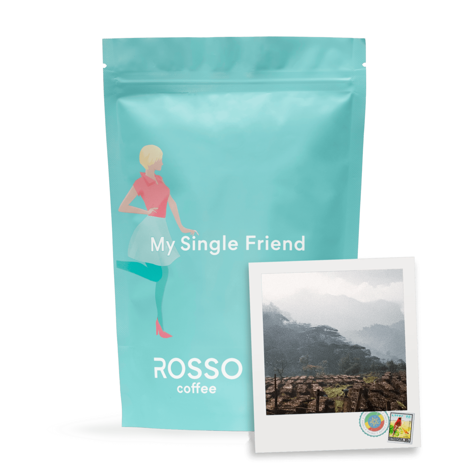 Single Origin: Ethiopia Guji G1 Filter